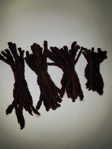 Dreadlocks natur menschliches - natur,